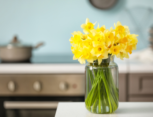 Revitalise Your Home: Ultimate Spring Cleaning Guide